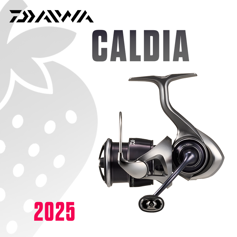 Daiwa Reel Bg - DAIWA 2025 CALDIA LT Angelrolle Spinnrolle